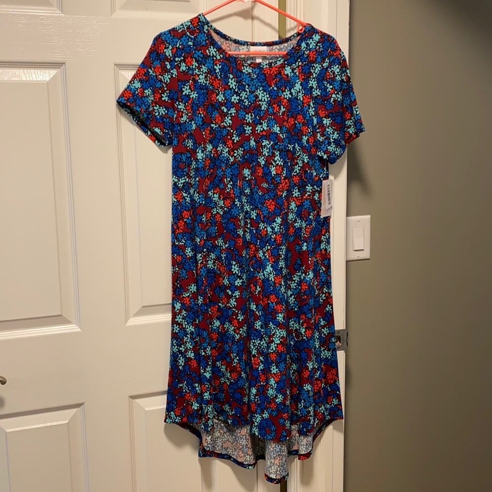 Lularoe Floral Carly Dress